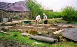 veg garden 2